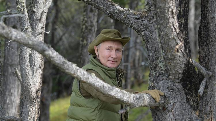 Песков рассказал, поздравляли ли Путина с днем рождения Трамп и Зеленский