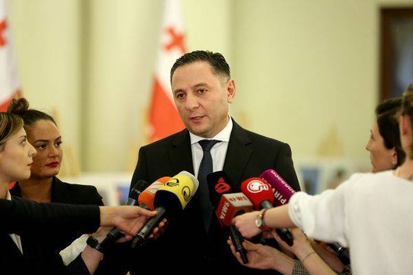 Гомелаури не считает МВД ответственным за киберзащиту Грузии