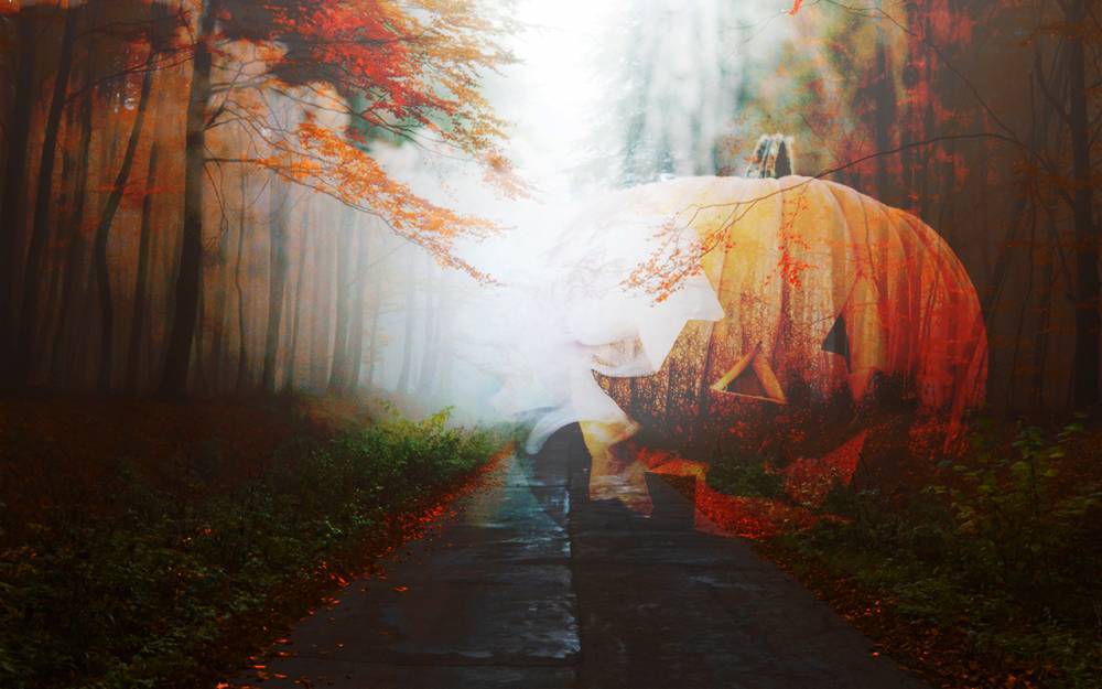 Дорога к Хэллоуину: водители назвали самые мистические места