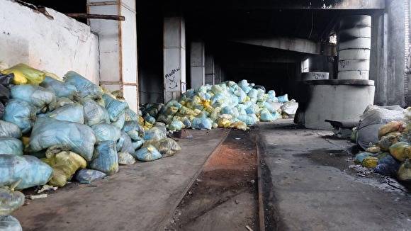 Жители Кургана снова жалуются на неприятный запах, который идет от подпольного крематория