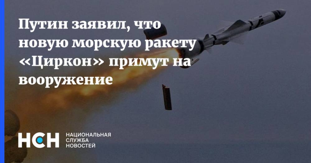 Путин заявил, что новую морскую ракету «Циркон» примут на вооружение