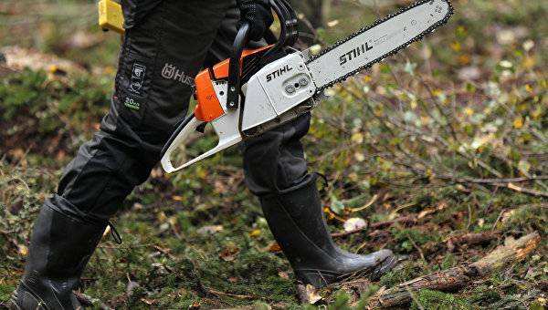 Попилил дубы: в Крыму мужчина нелегально заготавливал дрова на зиму