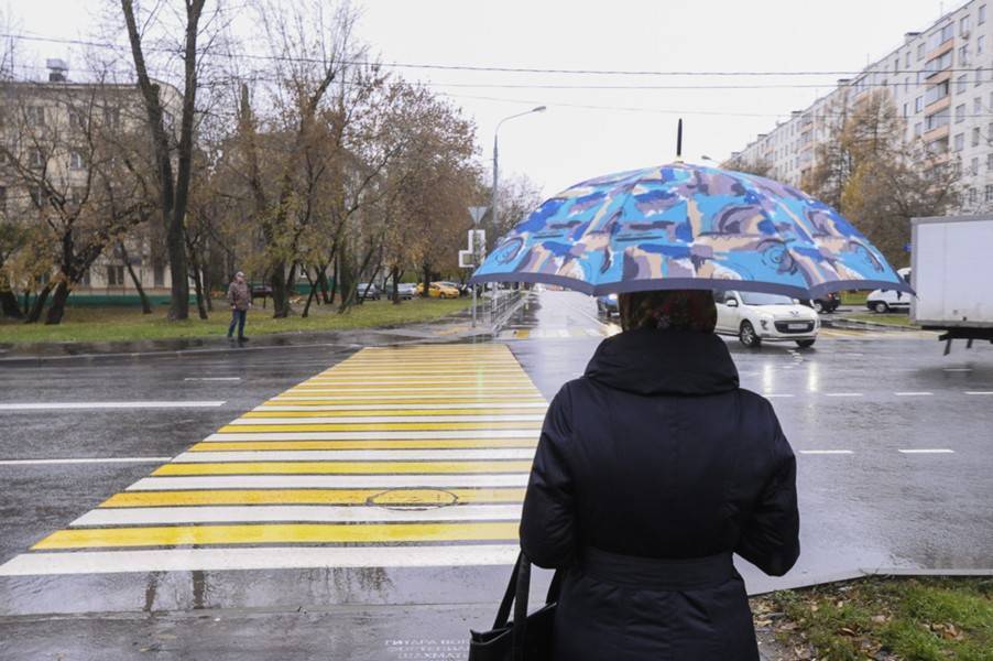 Около 2 тыс нарушений ПДД пешеходами выявлено в Москве за день