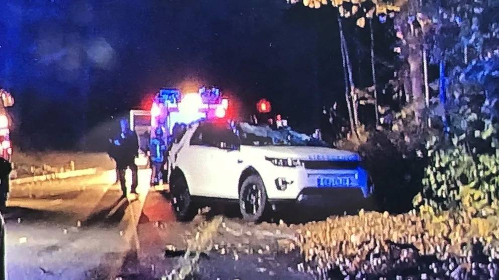 В Берлине на автомобиль упало 100-летнее дерево: водитель погиб