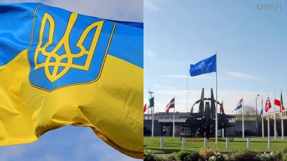 Зеленский пообещал ускорить подготовку Украины к членству в НАТО