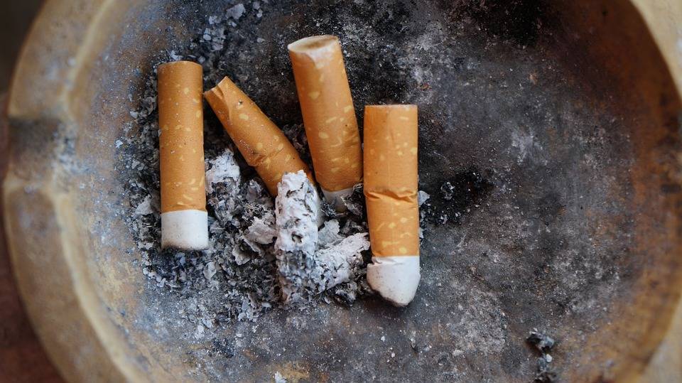 Курение в австрийских барах полностью запрещено - Cursorinfo: главные новости Израиля