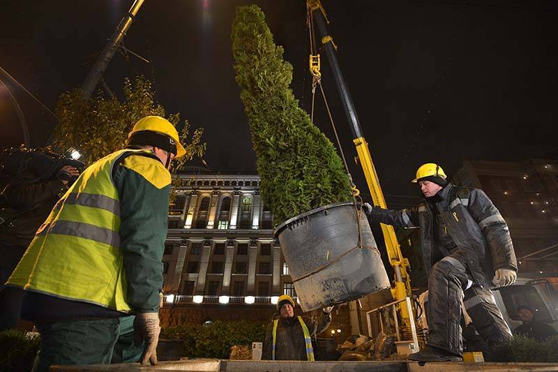 До конца года в центре Москвы высадят около 1200 деревьев