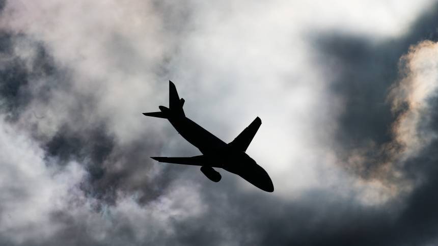 Авикомпания: Причиной отказа двигателя самолета стало попадание птицы