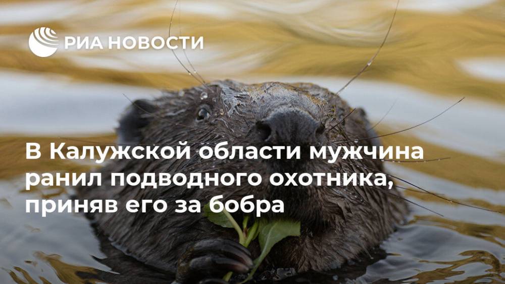 В Калужской области мужчина ранил подводного охотника, приняв его за бобра