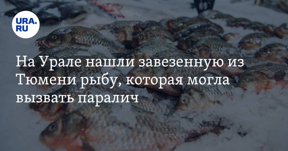 На Урале нашли завезенную из Тюмени рыбу, которая могла вызвать паралич