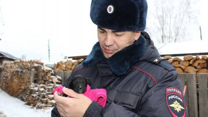 Красноярские полицейские спасли собаку и щенка из огня
