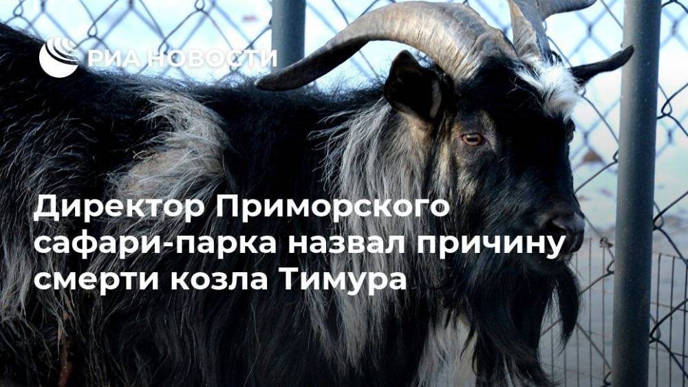 Директор Приморского сафари-парка назвал причину смерти козла Тимура