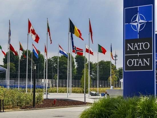 От слов Макрона о «смерти мозга НАТО» России не полегчало