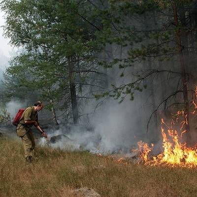 Почти 30 возгораний сухой травы произошло в Алтайском крае за минувшие сутки