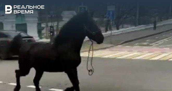 В центре Казани лошадь сбежала от хозяина
