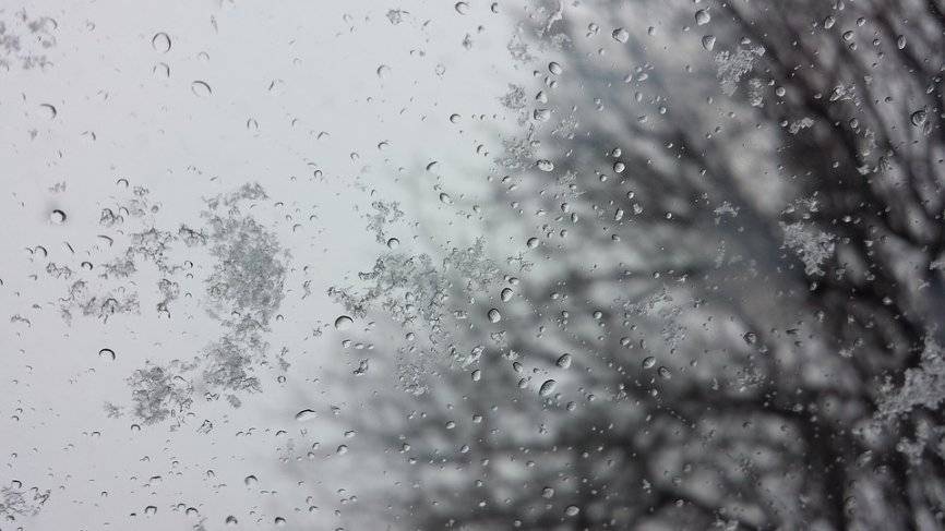 12 ноября в Ленобласти ожидается дождь, мокрый снег, гололед и переменная облачность