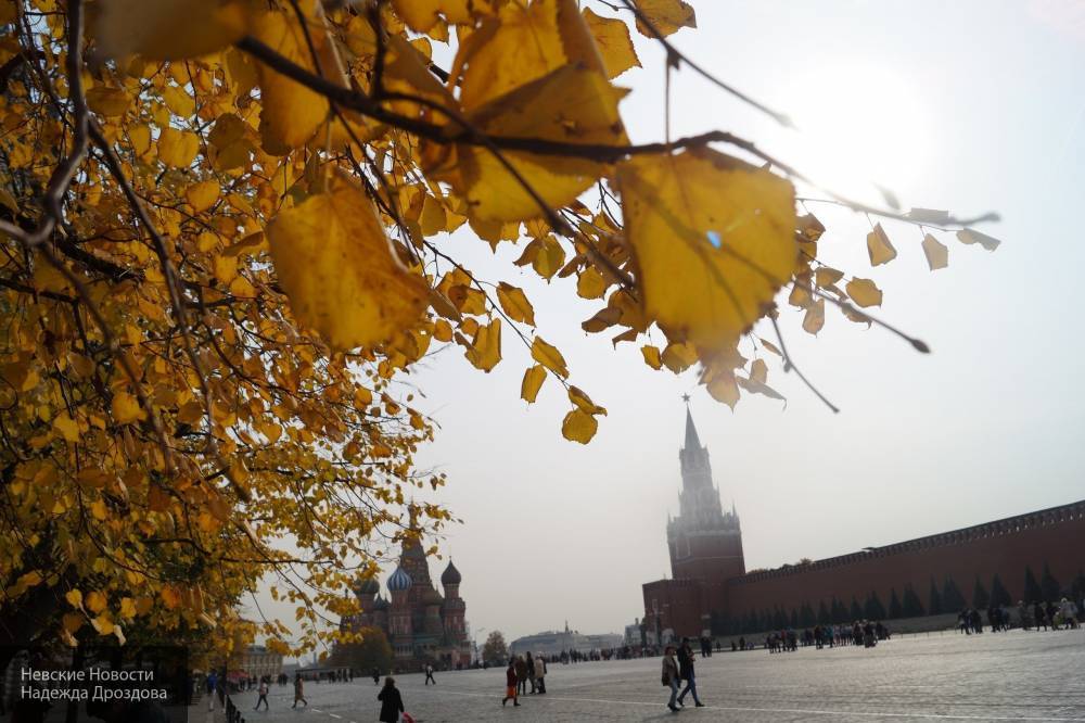 Жителей Москвы предупредили о низком содержании кислорода в воздухе 7 ноября