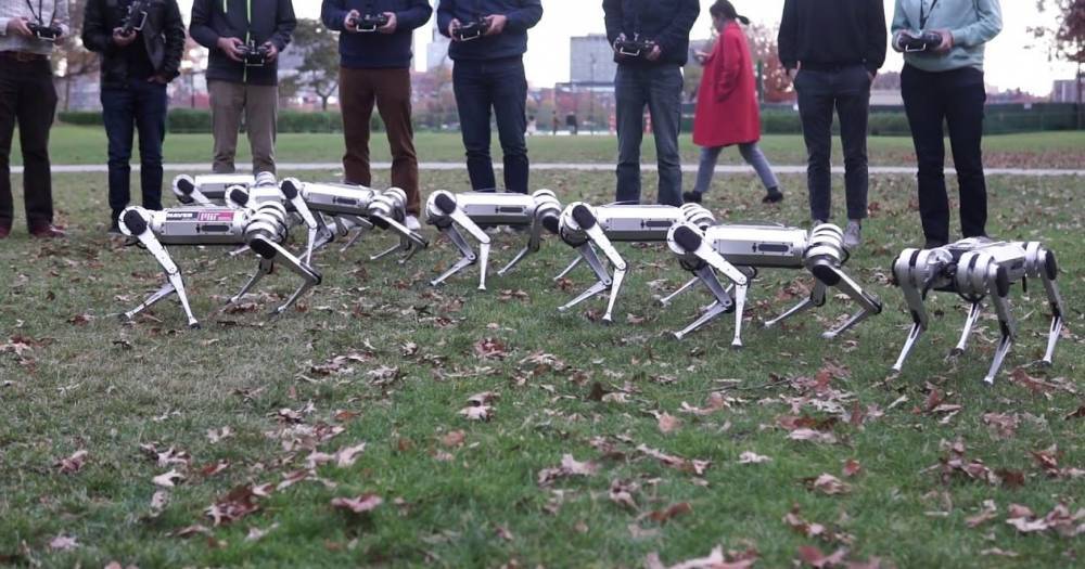 9 роботов Mini Cheetah играют в&nbsp;футбол и&nbsp;делают сальто: видео