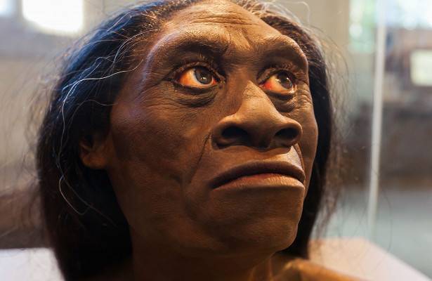 Ученые обнаружили новый вид возможного предка современного человека