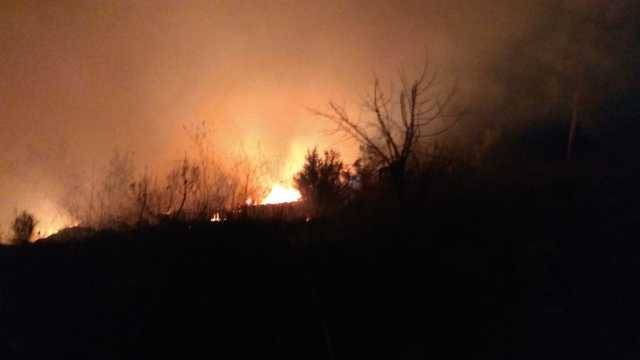 Жителей поселка в Галилее эвакуировали среди ночи из-за лесного пожара