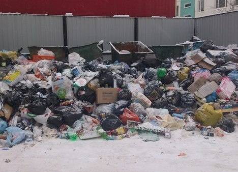Власти Алтайского края обещают разобраться с мусорным коллапсом в Бийске за три дня