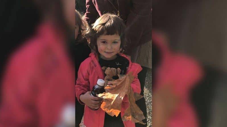 Потерявшаяся в парке Орегона 2-летняя девочка была найдена лесорубами, наездницей и ее собаками