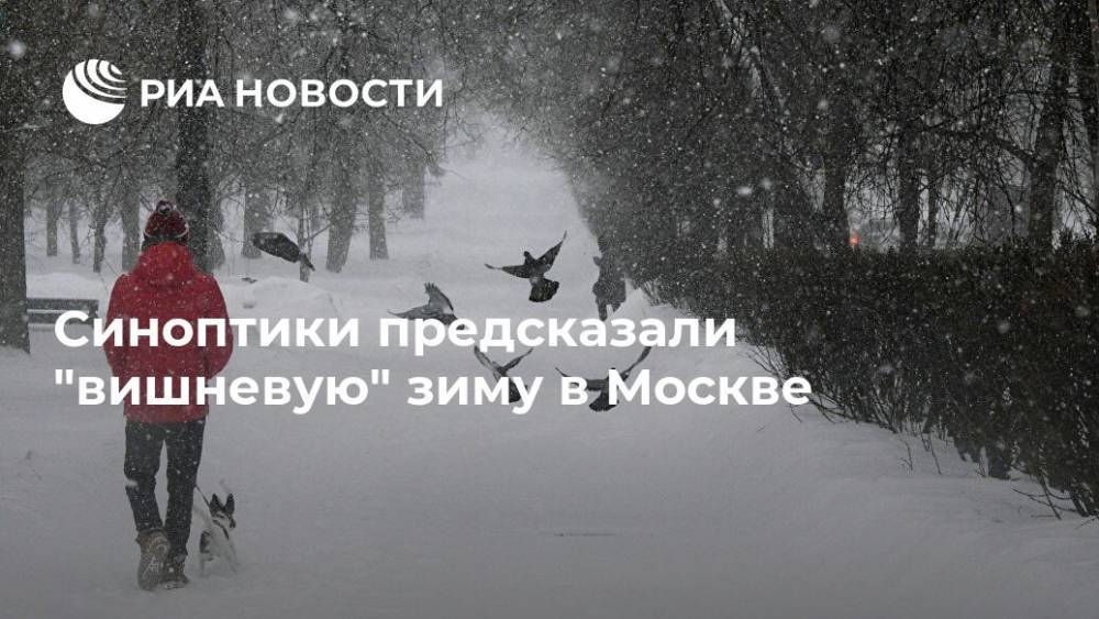 Синоптики предсказали "вишневую" зиму в Москве