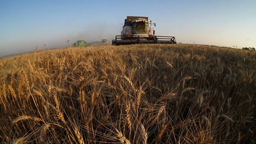 В зерновом союзе опровергли информацию о повышении спроса на крупы