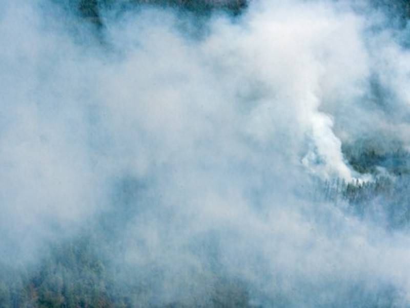 Природный пожар вспыхнул в горах Абхазии