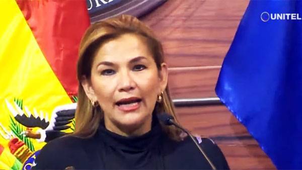 Власть в Боливии перешла ко второму зампредседателя сената Жанин Аньес