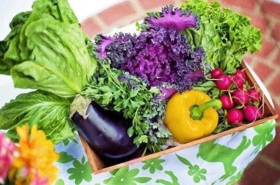 СМИ: россияне стали покупать меньше овощей