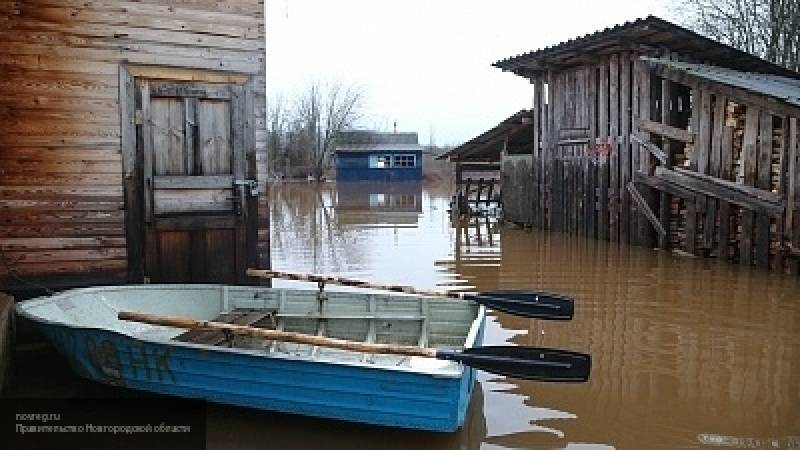 Паводок подтопил около 50 населенных пунктов в трех регионах России