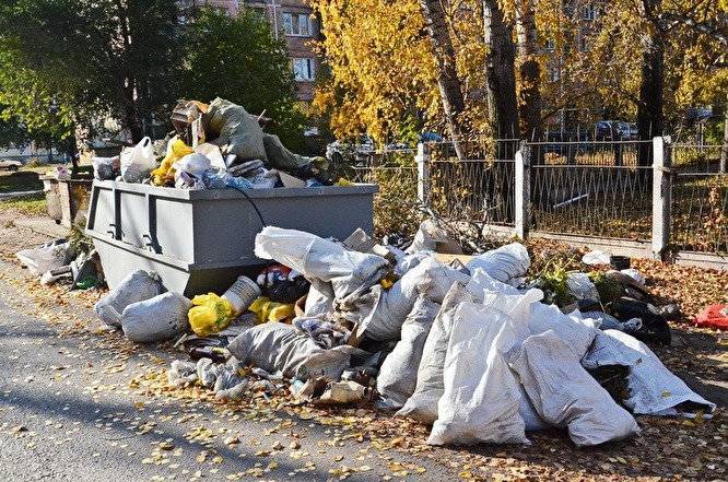 В Бийске из-за переизбытка мусора введен режим ЧС