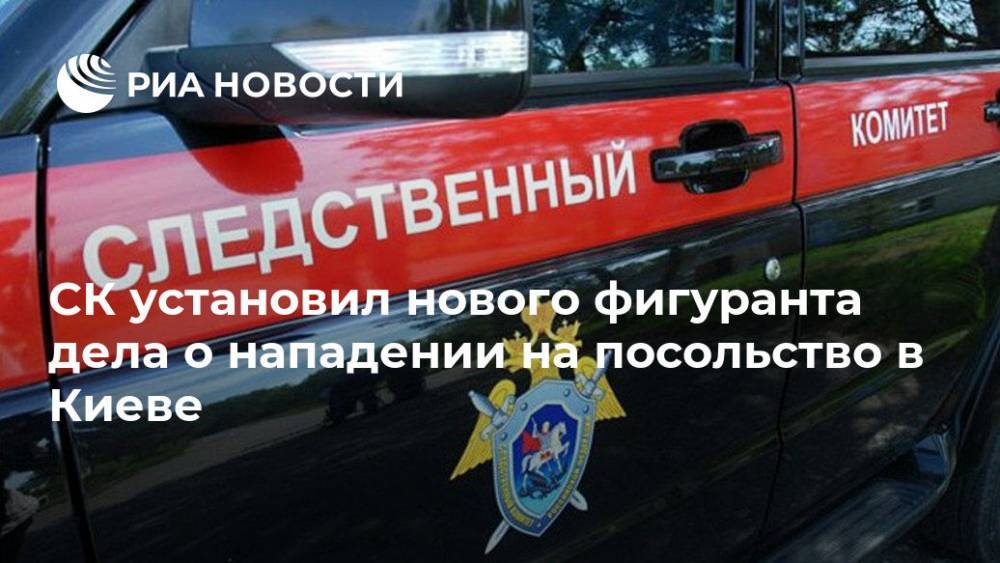 СК установил нового фигуранта дела о нападении на посольство в Киеве