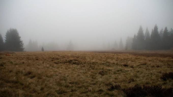 В субботу в Ленинградской области ожидаются дожди и туман