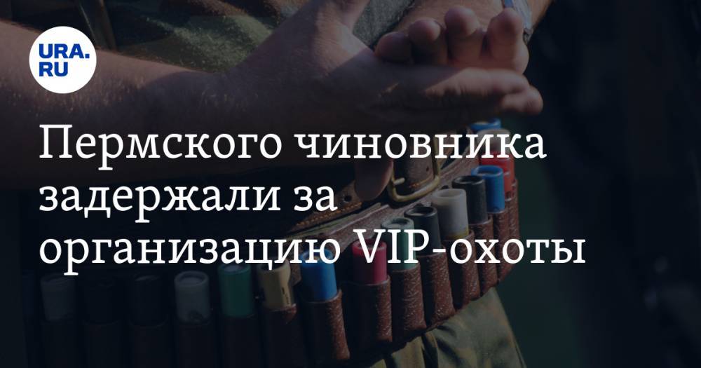 Пермского чиновника задержали за организацию VIP-охоты