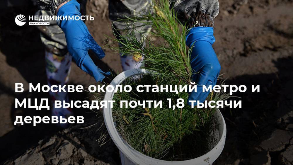 В Москве около станций метро и МЦД  высадят почти 1,8 тысячи деревьев