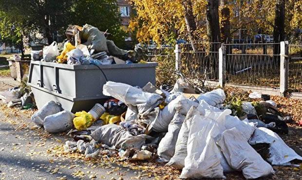 Власти Бийска ввели режим ЧС из-за скопления больших объемов мусора