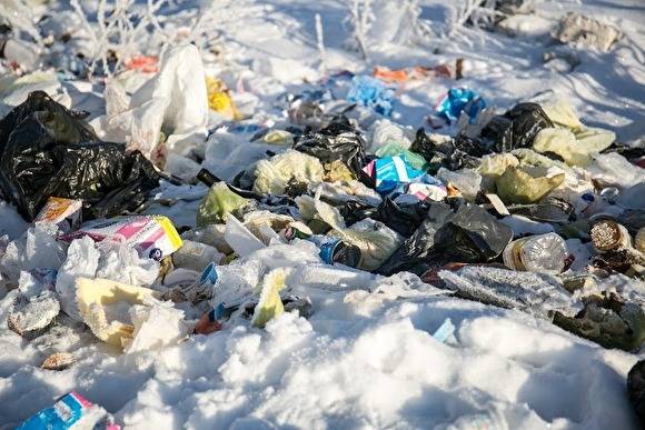 Активисты опротестовали приговор суда по поводу мусорного полигона в Красноуфимске