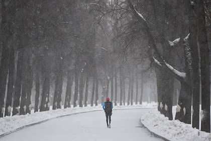 Россиянам раскрыли причины зимних температурных аномалий