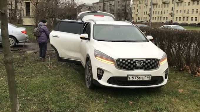 Петербуржцев возмутили припаркованные на газонах автомобили