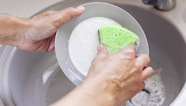 Ученый оценил опасность грязной губки для мытья посуды