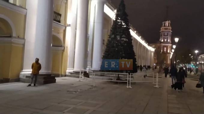 У Гостиного двора в Петербурге установили елку