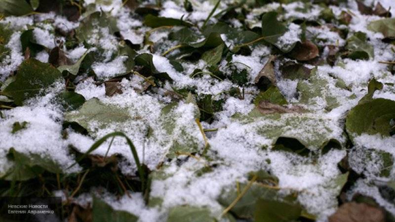 Спасатели предупредили жителей Новосибирска о наступающих снегопадах и гололеде