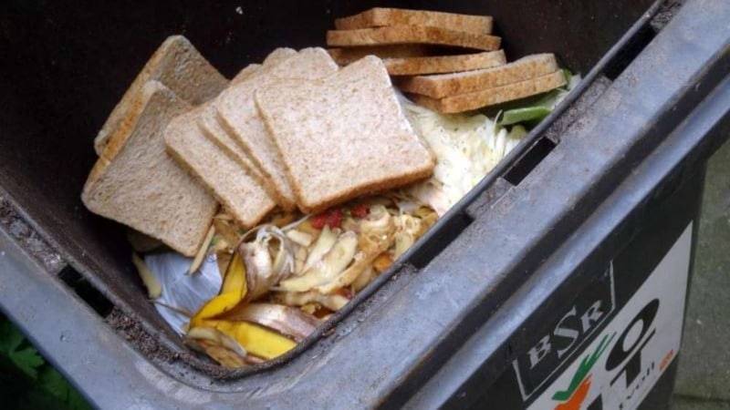 Что можно выбрасывать в  мусорный контейнер для органических отходов?