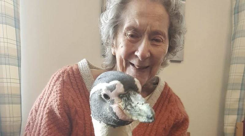 99-летняя женщина из дома престарелых давно хотела увидеть пингвинов – и тогда сотрудники сделали ей сюрприз