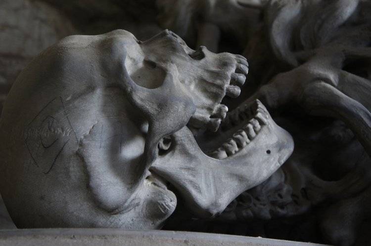 Водолазы во время поисков жертвы доцента СПБГУ нашли скелет в Мойке
