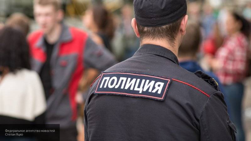 Полиция разыскивает двух подростков, пропавших под Солнечногорском