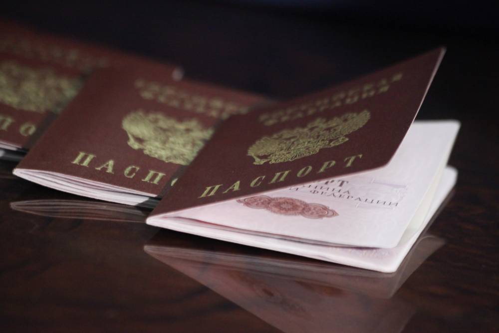 Почти 40 тысяч жителей ЛНР получили российские паспорта