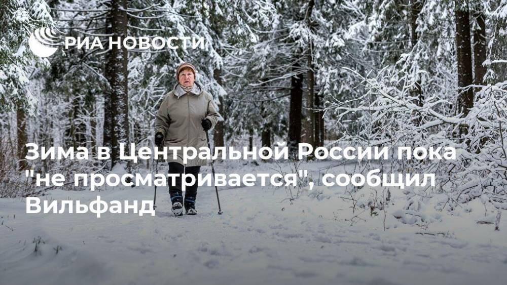 Зима в Центральной России пока "не просматривается", сообщил Вильфанд